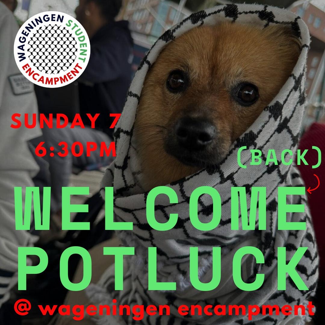 Welcome (Back) Potluck